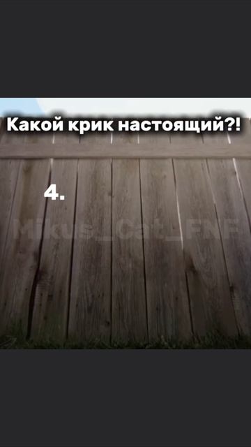 #хочуврек #гамбол #fyp  Какой крик настоящий?