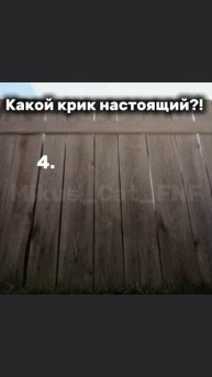 #хочуврек #гамбол #fyp Какой крик настоящий?