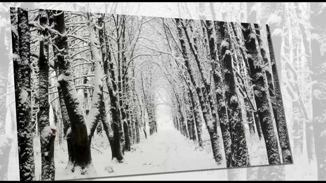 Anima Infinity -The Beauty Inside