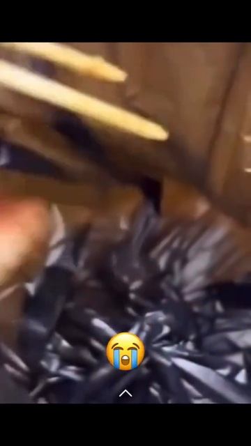 Неловко вышло. У пса есть тарелочка...