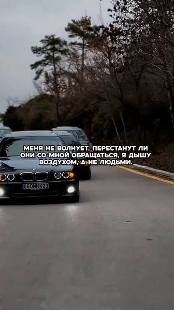 Думай братец, думай 🗽