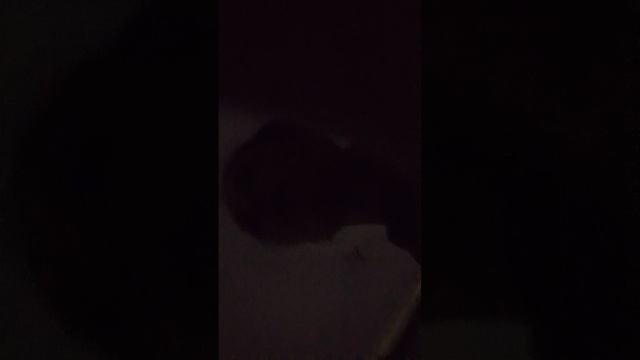 1000000306.mp4