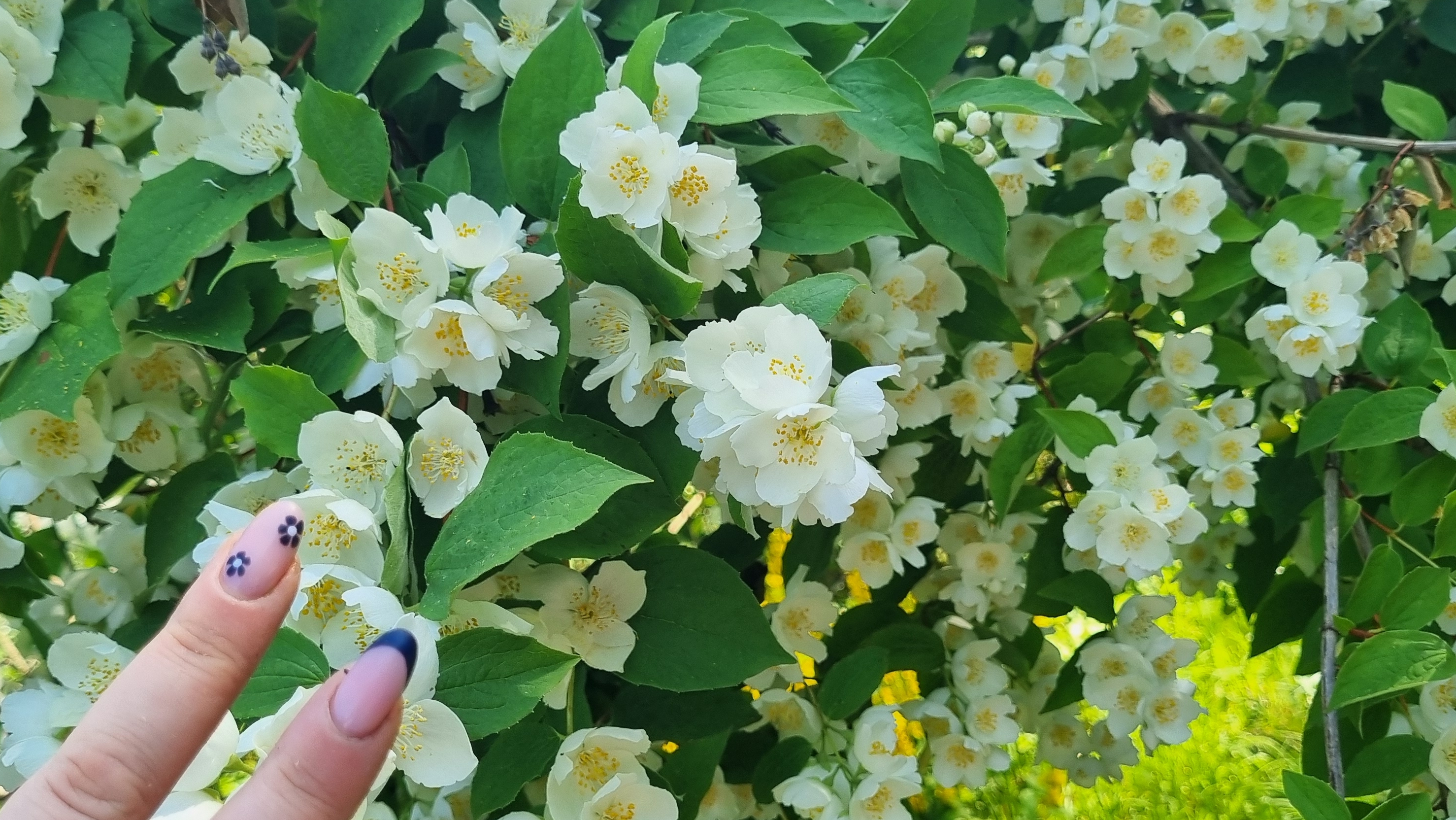 Говорушки, будни