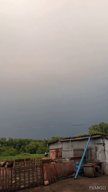 Вчерашний ливень ⛈️