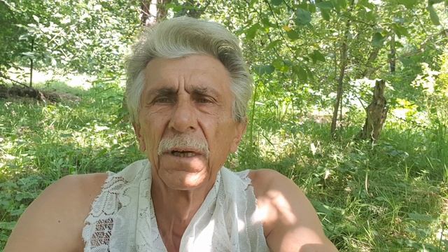 Утро - в тени 32