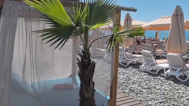 17-07-2025  Пляж в Сочи