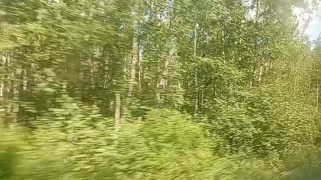 137.mp4