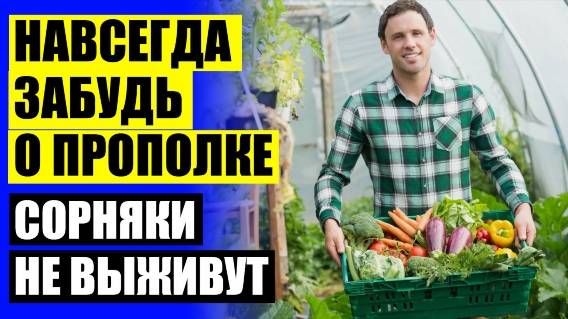 🔔 ЧТО ДЕЛАТЬ ЧТОБЫ СОРНЯКИ НЕ РОСЛИ 💡 КАК БЫСТРО ИЗБАВИТЬСЯ ОТ СОРНЯКОВ ✔