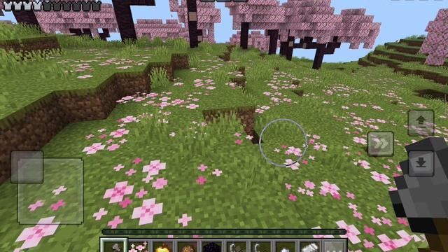 Minecraft новый мир
