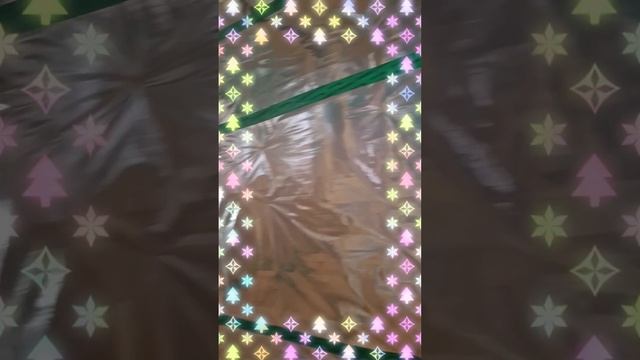 1000029325.mp4 (Собака наблюдает за креплением имитации бруса, планированием каркаса в доме А-фрейм)