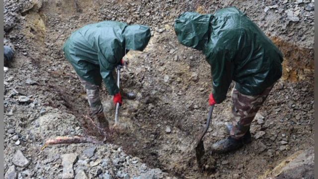 Мэр Львова предложил обменять эксгумированные тела советских❗ солдат с Холма Славы останки на…🔽🔽🔽