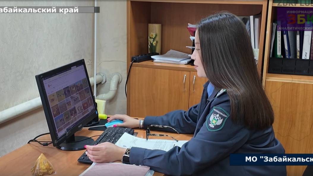 Сразу несколько ведомств ведут мониторинг здоровья дзеренов на территории Забайкальского края