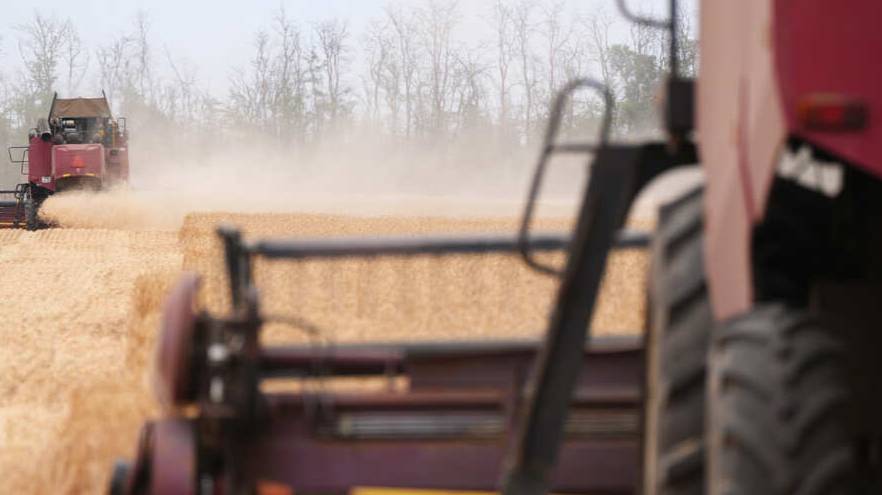 Экспорт продукции АПК России в Белоруссию увеличился на 20%