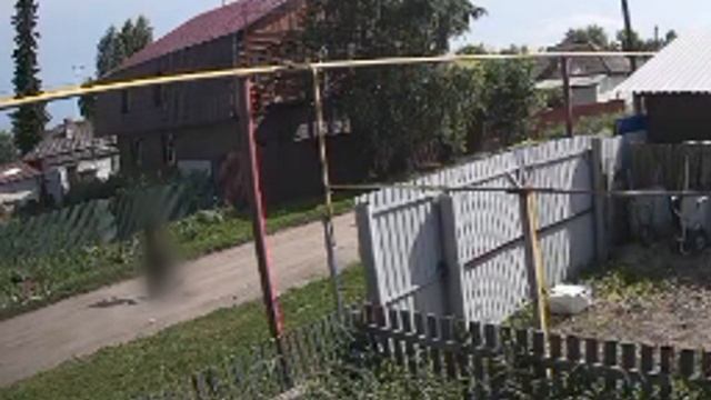 Живодер