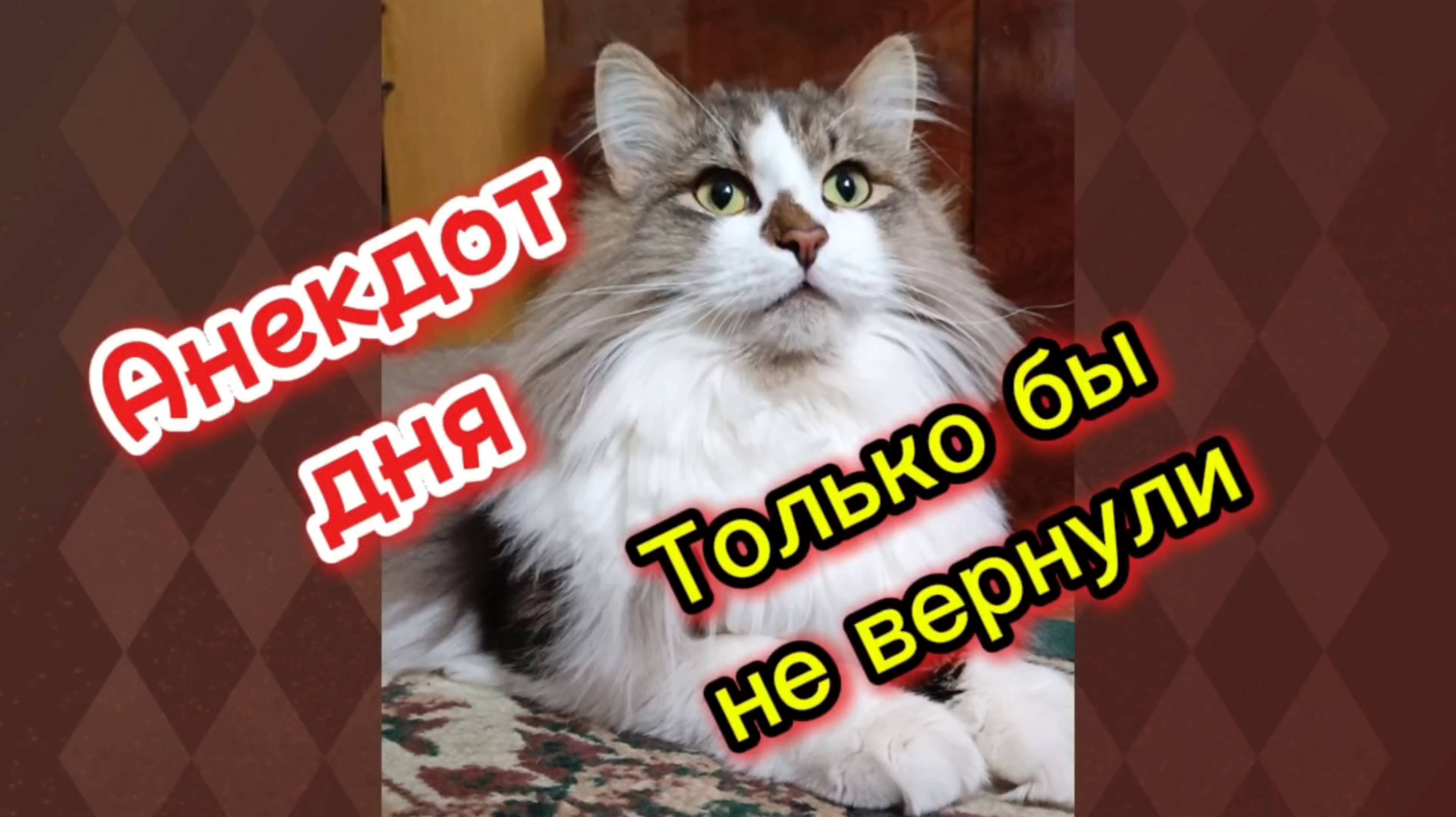 Анекдот дня. Про жену.