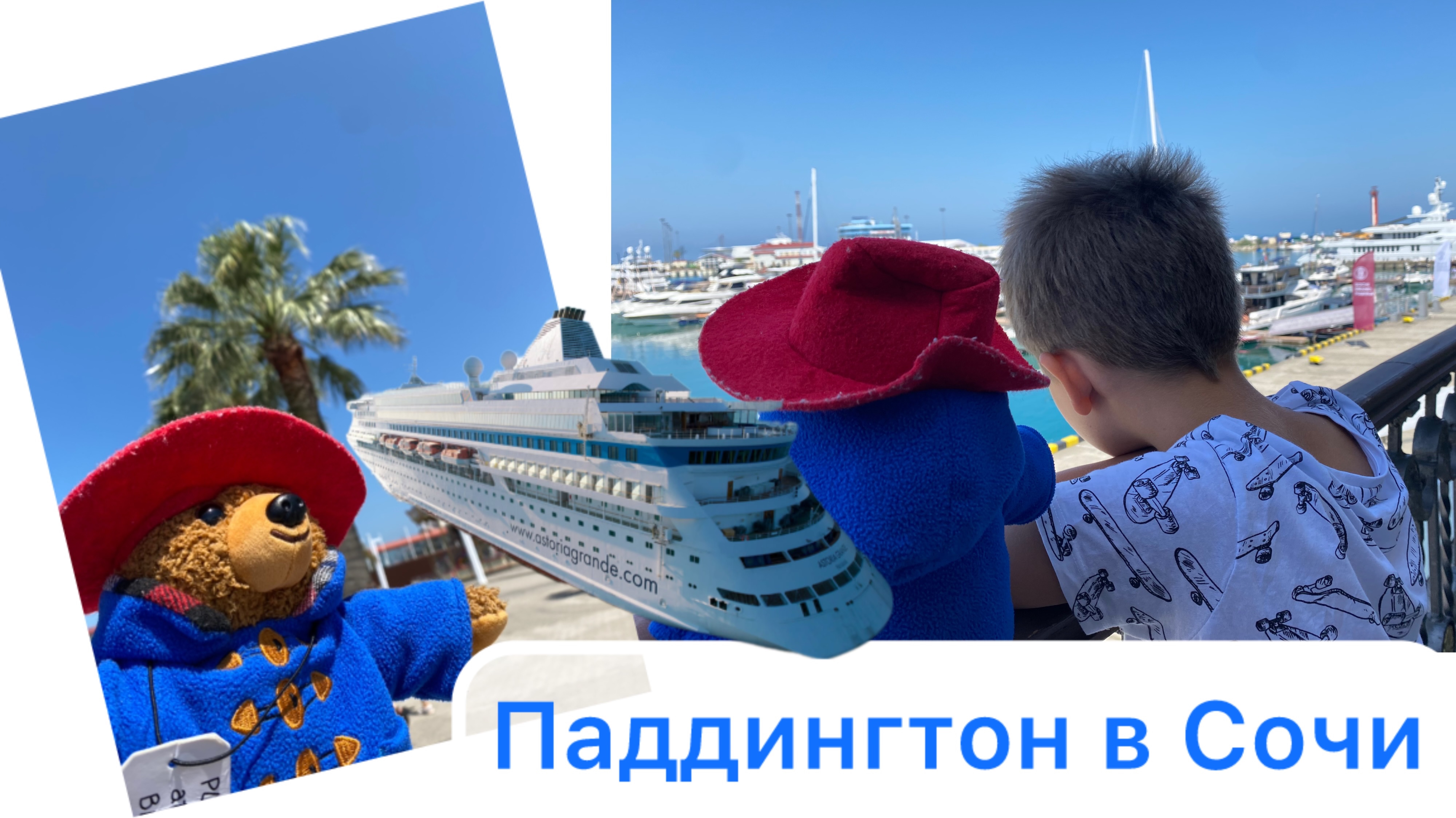 Паддингтон в Сочи