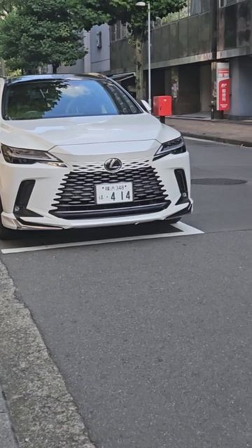 Черное $ Белое....Два дорогих веселых гуся....