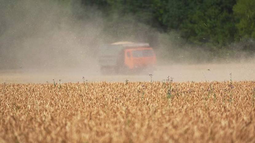 Экспорт продукции АПК в Белоруссию вырос на 20%