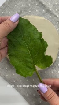 Эстетичный ботанический барельеф с первой попытки. Возможно?