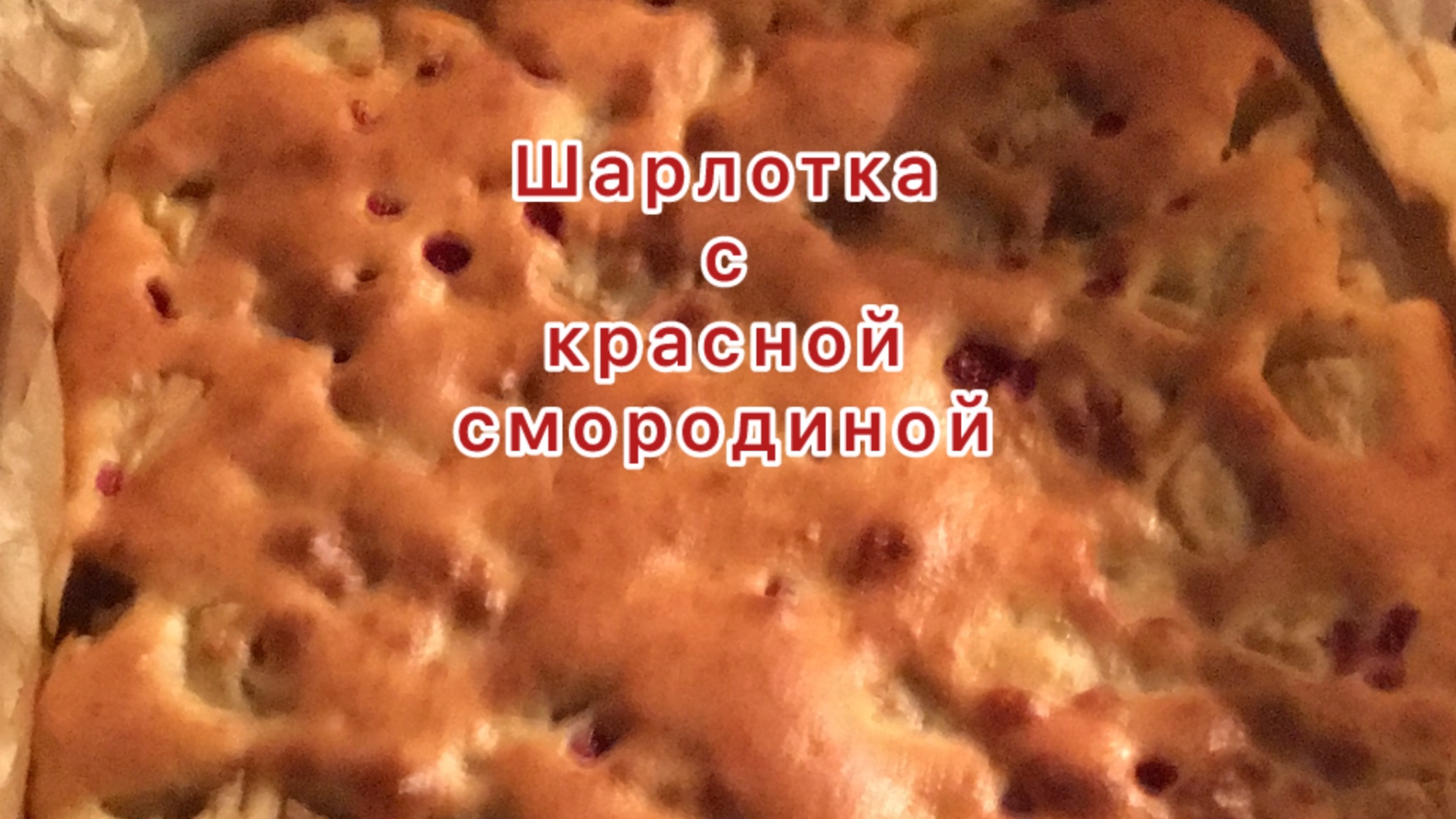Шарлотка с красной смородиной.