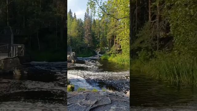 2_5460696977199101478