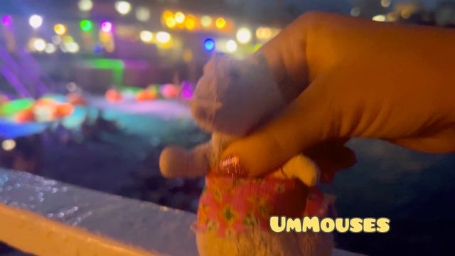 Буша зажигает на дискотеке под свою песню