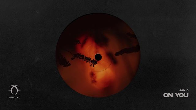 Janic - On You