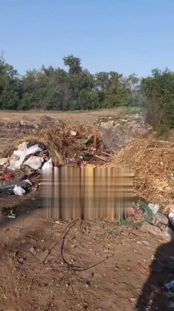 Надругательство в Саратовской области