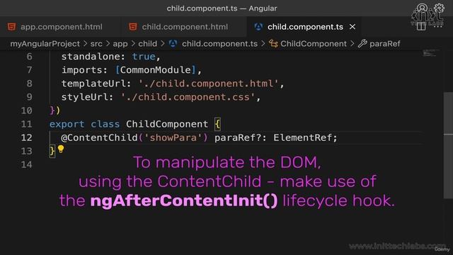 12 -Property Decorators - Accessing The Projected Content With @ContentChild