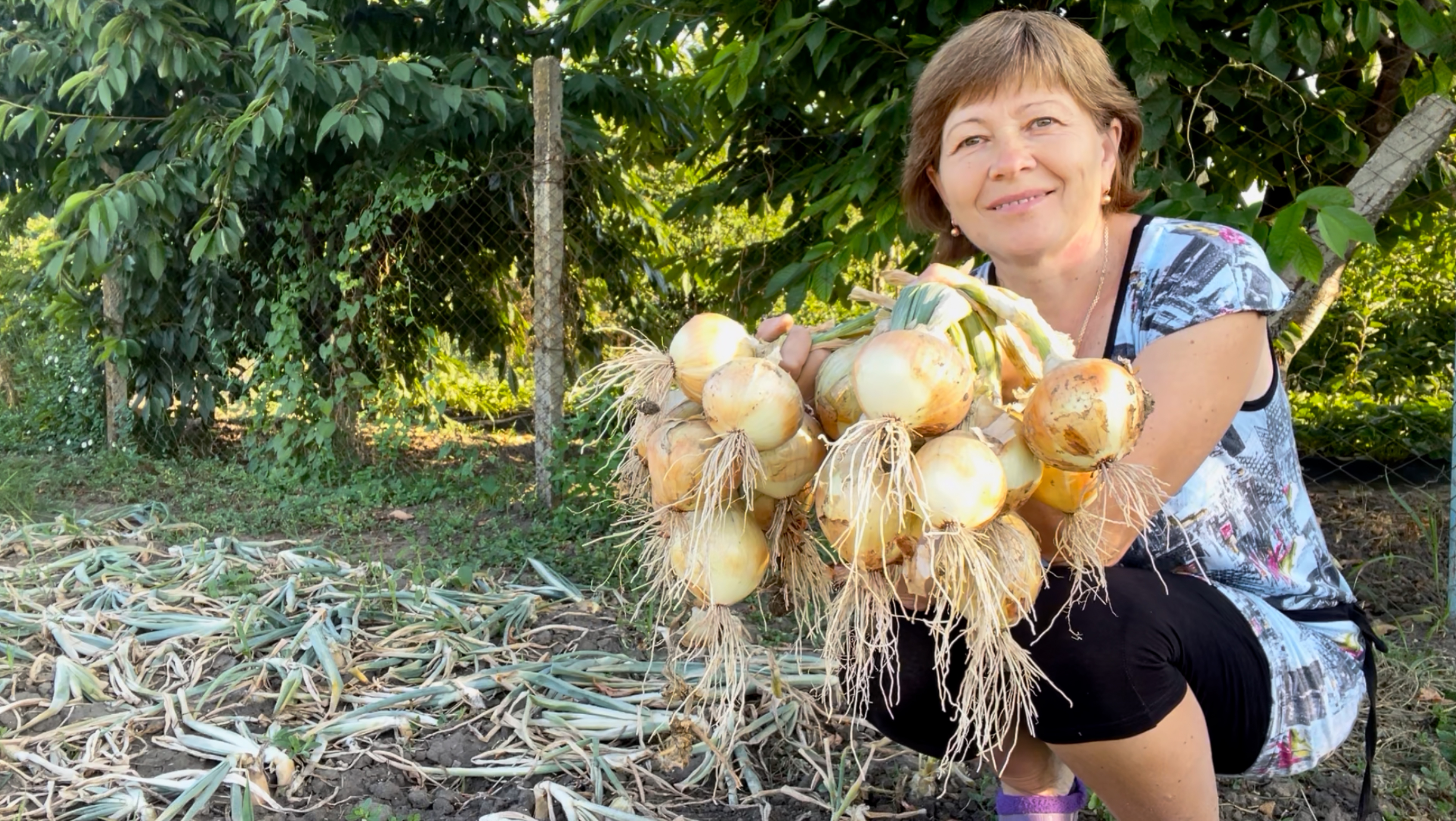 Жизнь на Кубани | Урожай удался! | Выкопали картошку