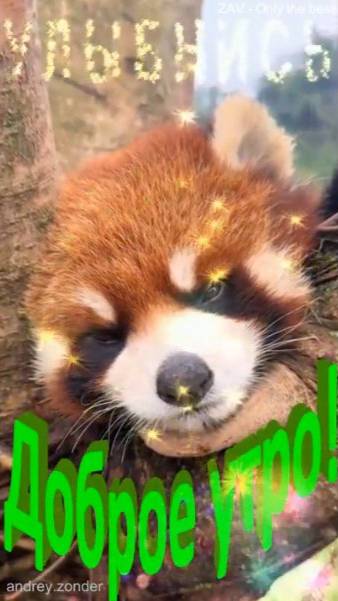 Доброе утро!) Замечательного дня!) #доброеутро