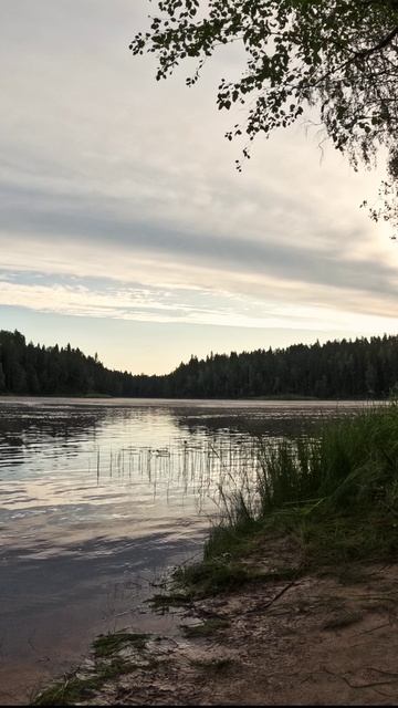 Утро на реке.