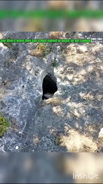 На что не пойдешь ради науки