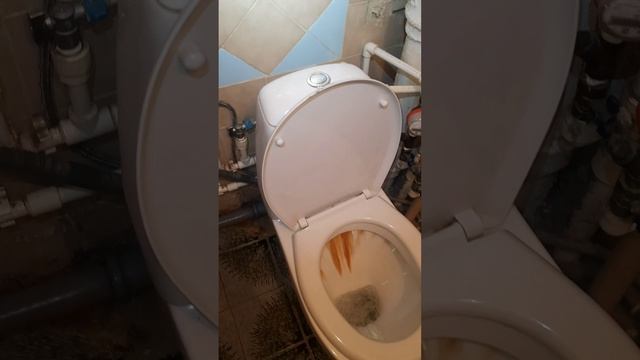 Рабочий день обычного сантехника .