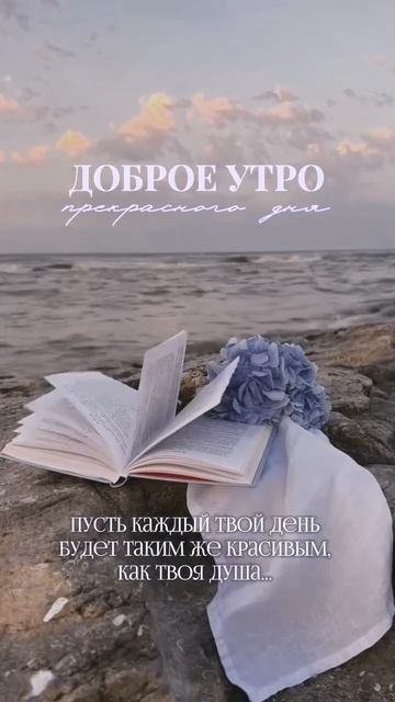 Доброе утро