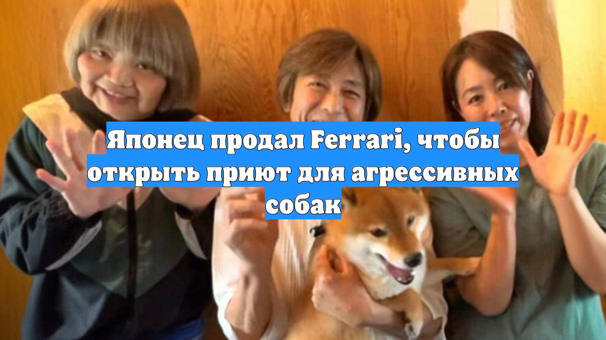 Японец продал Ferrari, чтобы открыть приют для агрессивных собак