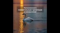 Доброго дивного вечера! Наполненного пленительным трепетным очарованием!