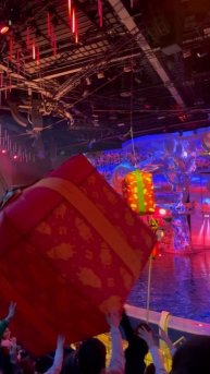 Новогоднее шоу