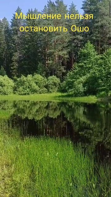 (25) Мышления нельзя остановить Ошо