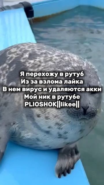 Жалко но это так