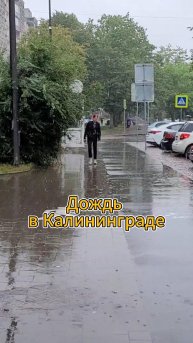 Дождь зарядил в Калининграде