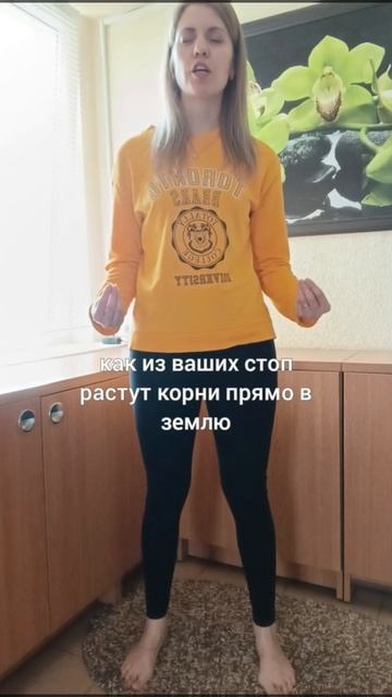 техника "Заземление"