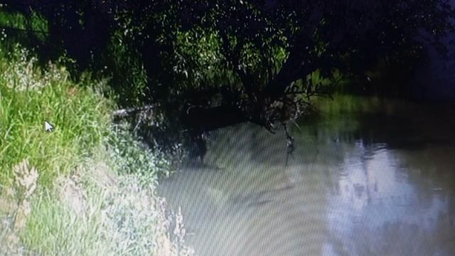 Здоровье с удочкой в руках: польза рыбалки и рыбы для вас