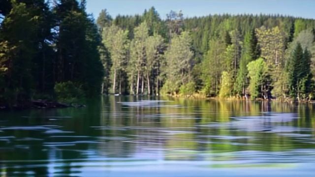 С лодки