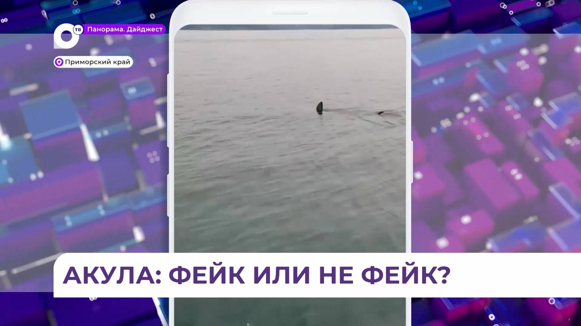 По социальным сетям разлетелось фейковое видео с акулой в Приморье