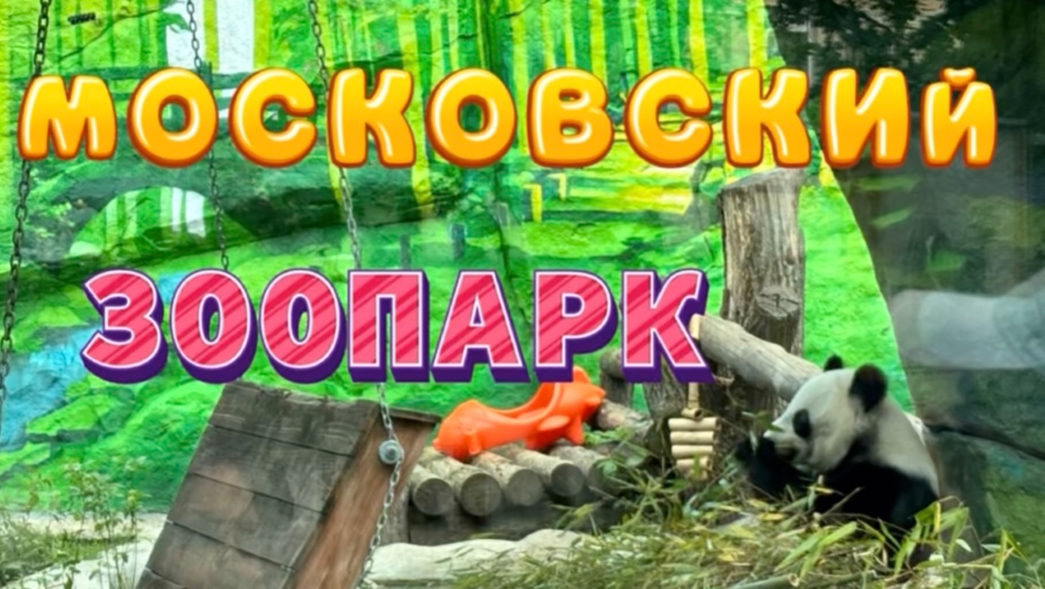 МОСКОВСКИЙ ЗООПАРК! 🐼🐾😍