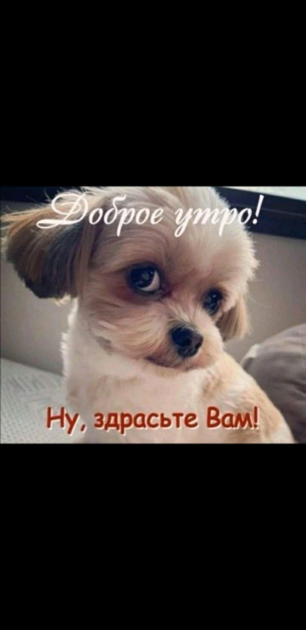 Занимаемся спортом с другом