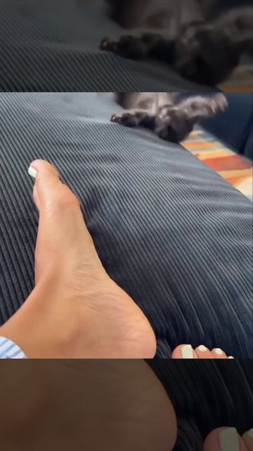 Король драмы