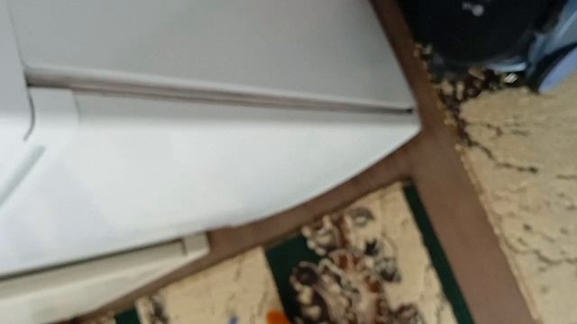 пылесос сожрал гуся