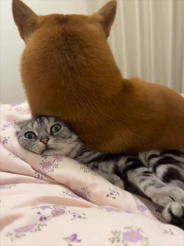 Подпишись 👉 https://vk.com/ykrasheniy_iz_kamny